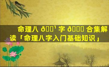 命理八 🌹 字 🐝 合集解读「命理八字入门基础知识」